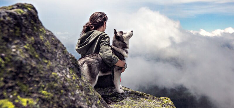 Adventure & Optimism